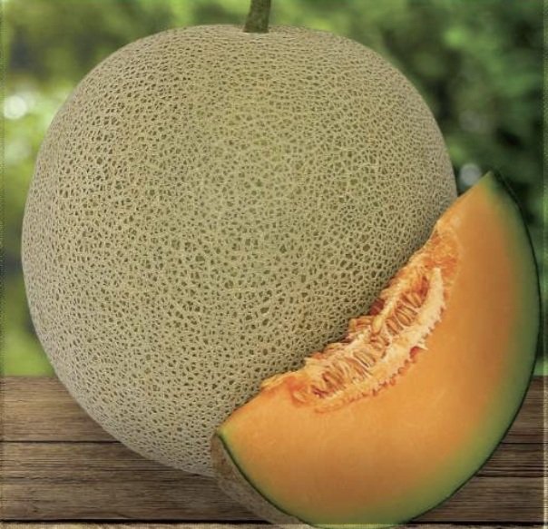 Melon
