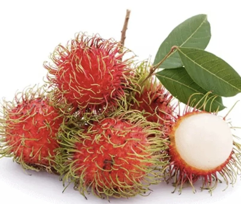 Rambutan