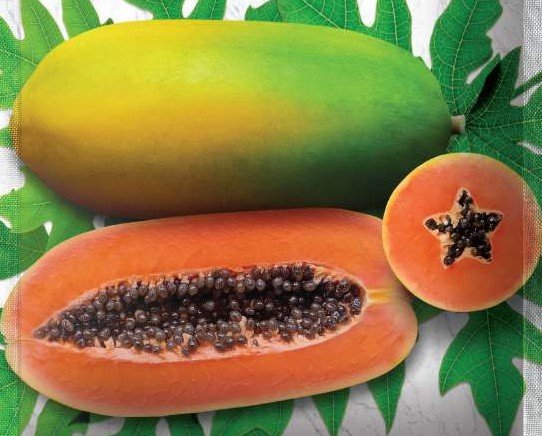 Pepaya